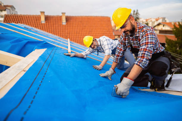 Best Gutter Installation and Roofing  in Lockport, LA